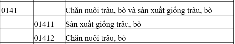 chăn nuôi trâu bò